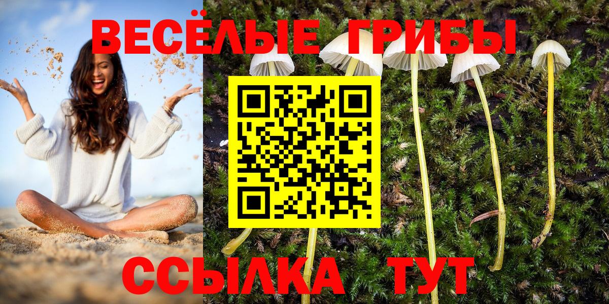 Псилоцибиновые грибы Psilocybe Феодосия