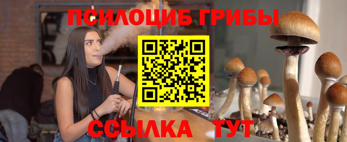 Феодосия  Псилоцибиновые грибы мухоморы  Вход с VPN 